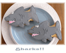 Shark Cookies